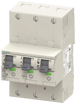 SIEM                           5SP3816-3 