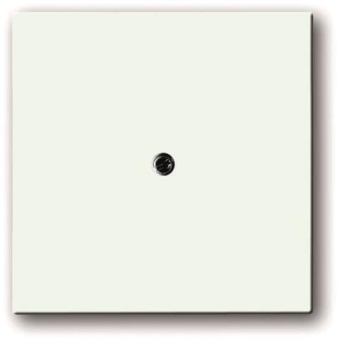 BJ Zentralscheibe f.            1745-884 