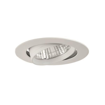 Brumberg                        12590174 