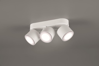 TRIO Ein-/Aufbauspot TAURUS ws 652910331 