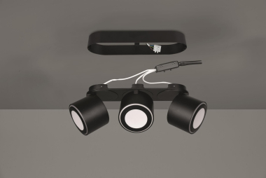 TRIO Ein-/Aufbauspot TAURUS sw 652910332 
