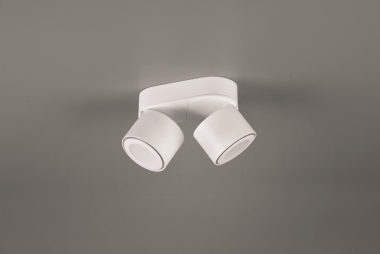 TRIO Ein-/Aufbauspot TAURUS ws 652910231 