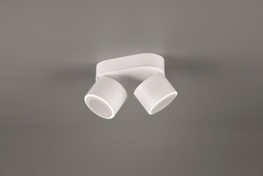 TRIO Ein-/Aufbauspot TAURUS ws 652910231 