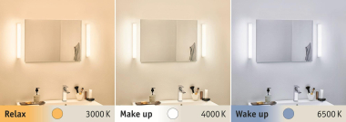 Paulmann WallCeiling HomeSpa Luno  78948 