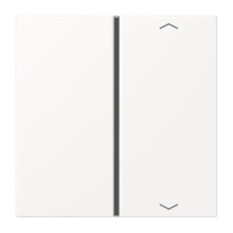 Jung Taste 1f            LS 401 TSAP WWM 