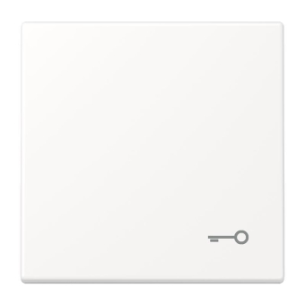 Jung Wippe 1fach Symbol Tür LS 990 T WWM 