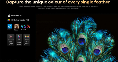 Hisense 116UXQ Mini LED-TV Mini-LED RGB 