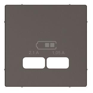 Merten Zentralplatte f.USB  MEG4367-0414 