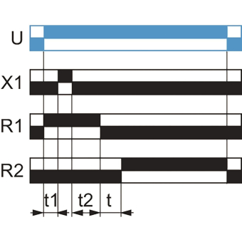 GS Multi-function Timing      RE22R2MYMR 