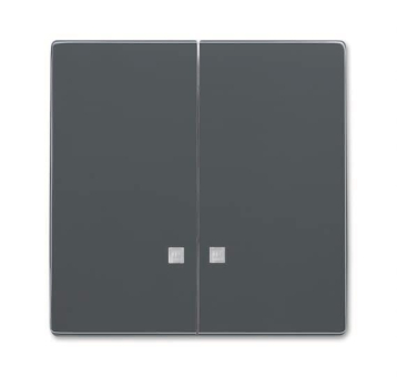 BJ Wippe anthrazit future      1785 K-81 