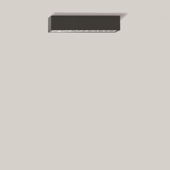 BEGA E-Decken-u.Wandleuchte      24315K4 