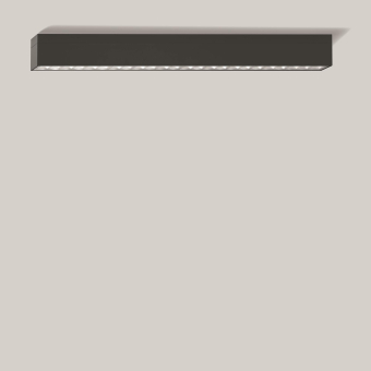 BEGA E-Decken-u.Wandleuchte      24310K4 