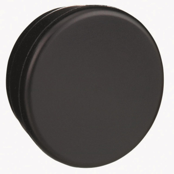 GS Blindstopfen                  ZB6Y005 