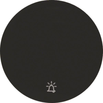 Berker Wippe m. Aufdruck Symbol 16202025 