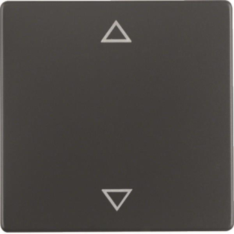 Berker Wippe m. Aufdruck Symbol 16206076 