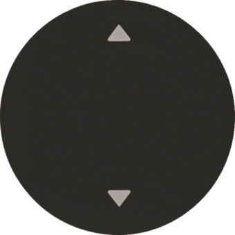 Berker Wippe m. Aufdruck Symbol 16202005 