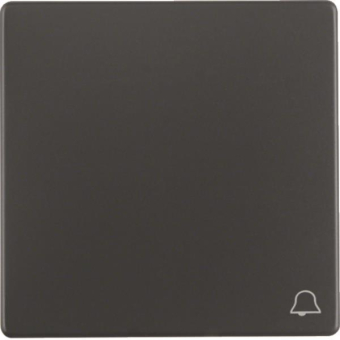 Berker Wippe m. Aufdruck Symbol 16206056 