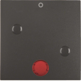 Berker Wippe anschraubbar       15771606 