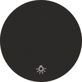 Berker Wippe m. Aufdruck Symbol 16202035 