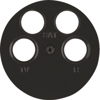 Berker Zentralplatte            14842045 