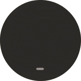 Berker Wippe m. klarer Linse    16212045 