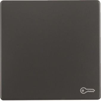 Berker Wippe m. Aufdruck Symbol 16206066 