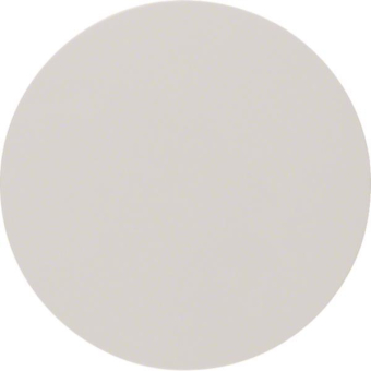 Berker Wippe R.1/R.3 polarweiß, 16202089 