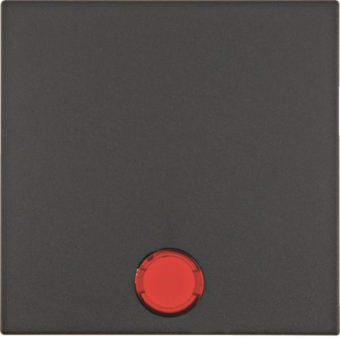 BER S1 Wippe Wechsel mit        16211606 