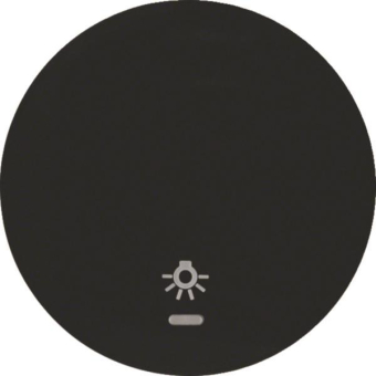 Berker Wippe m. Aufdruck Symbol 16212035 