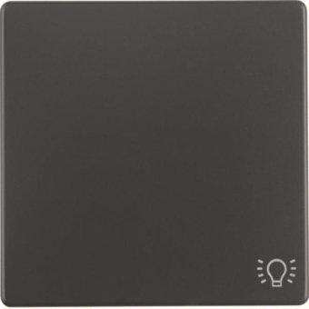 Berker Wippe m. Aufdruck Symbol 16206046 