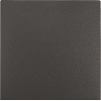 BER S1 Wippe Wechsel            16201606 