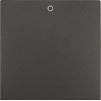 BER S1 Wippe Aus 2- und 3polig  16221606 