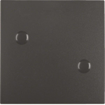 Berker Wippe anschraubbar B.1   15701606 