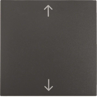 BER Wippe B1 anthrazit mit      16201616 