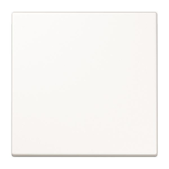 Jung Steuertaste Std.           LS1700WW 