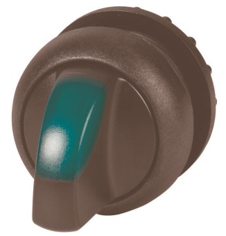 EATON M22S-WLKV-G Leuchtwahltaste 284540 