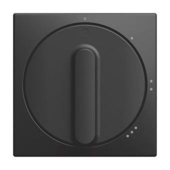 BJ Zentralscheibe         2542 DR/01-915 