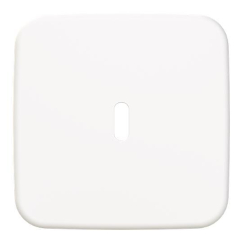 BJ Zentralscheibe USB C Power   6479-214 