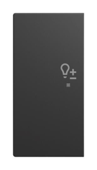 BJ Wippe 2-fach links        6234-21-915 