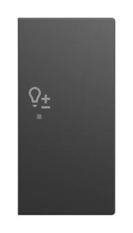 BJ Wippe 2-fach rechts       6234-22-915 