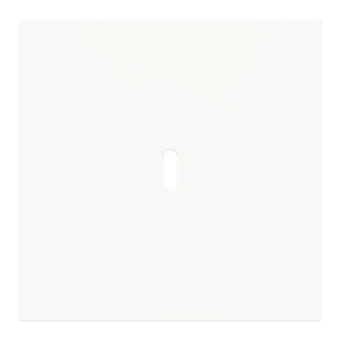 BJ Zentralscheibe USB C Power   6479-44G 