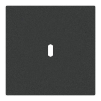 BJ Zentralscheibe USB C Power   6479-45M 