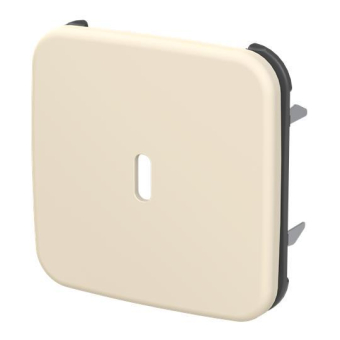 BJ Zentralscheibe USB C Power   6479-212 