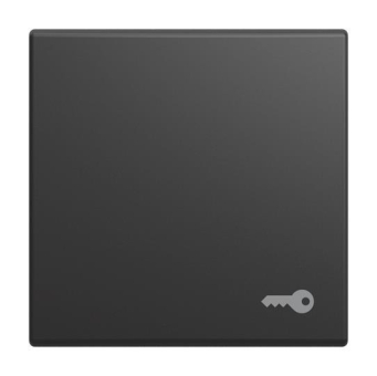 BJ Wippe m.Aufdruck Mit      2520 TR-915 