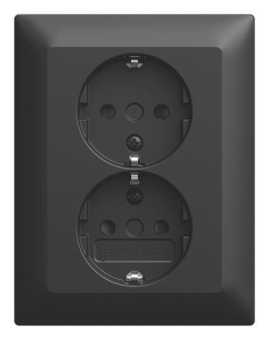 BJ SCHUKO  Doppelsteckdose 202 EUJRB-915 