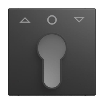 BJ Zentralscheibe        2557 PZ-915-101 