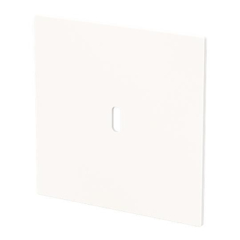 BJ Zentralscheibe USB C Power   6479-44G 