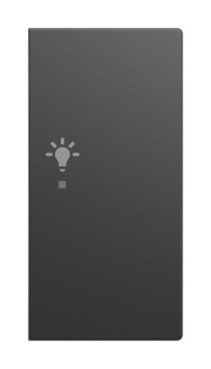 BJ Wippe 2-fach rechts       6231-22-915 