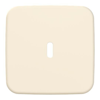 BJ Zentralscheibe USB C Power   6479-212 