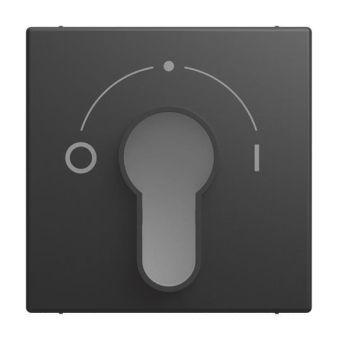 BJ Zentralscheibe      2557 SLPZ-915-101 